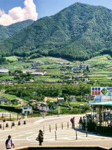 山梨・勝沼ぶどうの丘へ｜甲州ワインとぶどう畑をめぐる旅