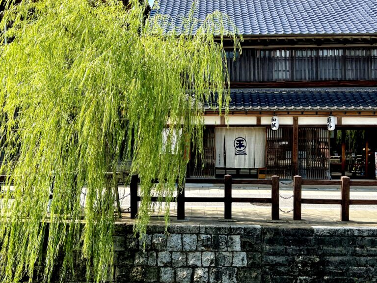 秋の佐原にて：Autumn in Sawara